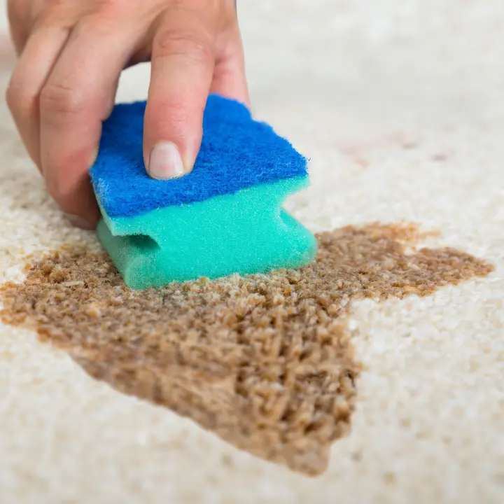 Commercial Stain Protection Services
