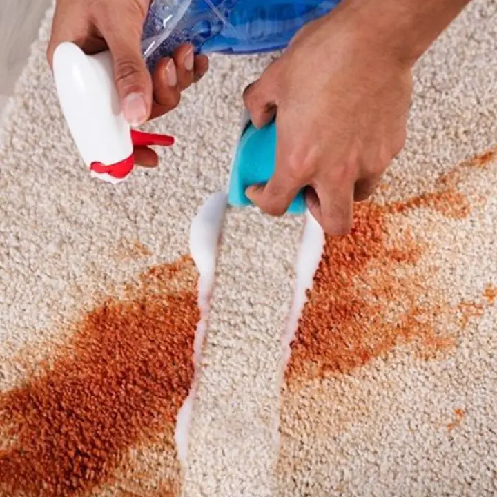 Commercial Stain Removal Services