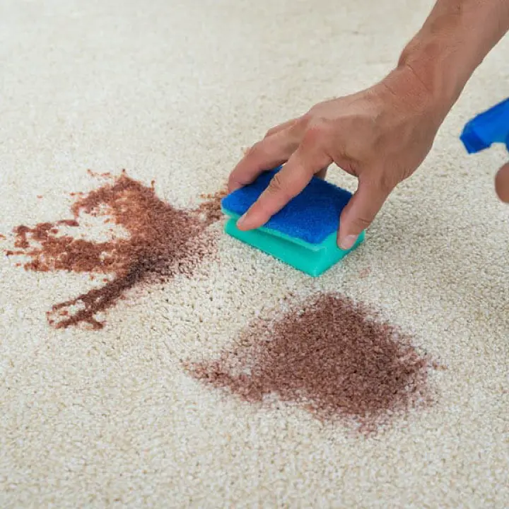 Residential Stain Removal Services